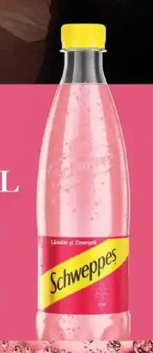 Selgros Schweppes Băutură răcoritoare Ofertă