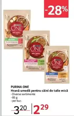 Selgros PURINA ONE Hrană umedă pentru câini de talie mică Ofertă