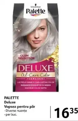 Selgros PALETTE Deluxe Vopsea pentru păr Ofertă