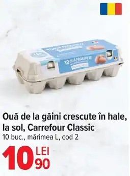 Carrefour Ouă de la găini crescute în hale, la sol, Carrefour Classic Ofertă