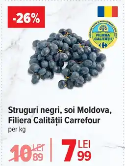 Carrefour Struguri negri, soi Moldova, Filiera Calității Carrefour Ofertă