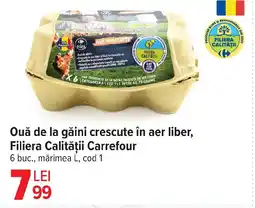 Carrefour Ouă de la găini crescute în aer liber, Filiera Calității Carrefour Ofertă