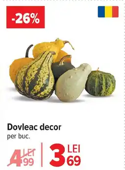 Carrefour Dovleac decor Ofertă
