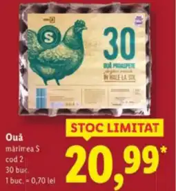 Lidl Oua Ofertă
