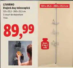 Lidl LIVARNO Etajeră duş telescopică Ofertă