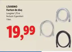 Lidl LIVARNO Furtun de duş Ofertă