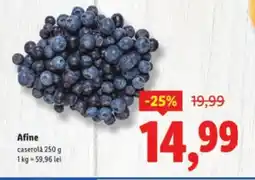 Lidl Afine Ofertă