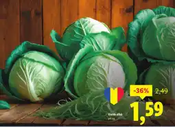 Lidl Varză albă Ofertă