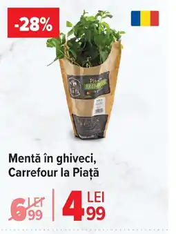 Carrefour Market Mentă în ghiveci, Carrefour la Piaţă Ofertă