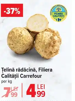 Carrefour Market Țelină rădăcină, Filiera Calității Carrefour Ofertă