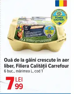 Carrefour Market Ouă de la găini crescute în aer liber, Filiera Calităţii Carrefour Ofertă