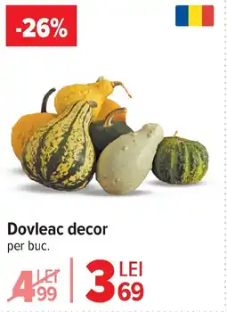 Carrefour Market Dovleac decor Ofertă