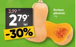 PROFI Dovleac plăcintar Ofertă