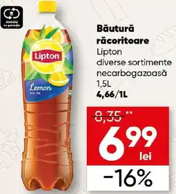 PROFI Băutură răcoritoare Lipton Ofertă