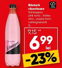 PROFI Băutură răcoritoare Schweppes Ofertă