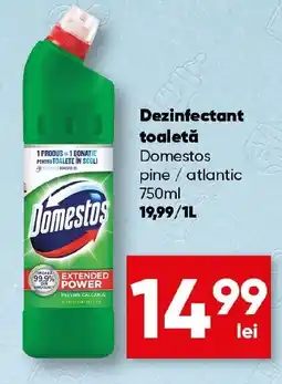 PROFI Dezinfectant toaletă Domestos Ofertă