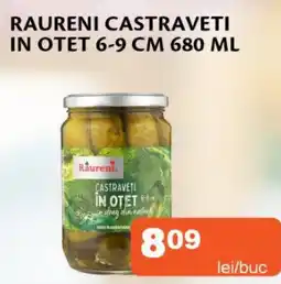 Unicarm Raureni castraveti in otet 6-9 cm Ofertă