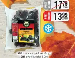 CBA SBF mure de pădure Ofertă