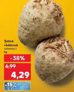 Kaufland Ţelină rădăcină Ofertă