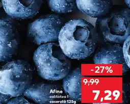 Kaufland Afine Ofertă