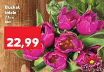 Kaufland Buchet lalele Ofertă