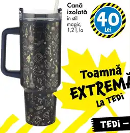 TEDI Canǎ izolată Ofertă