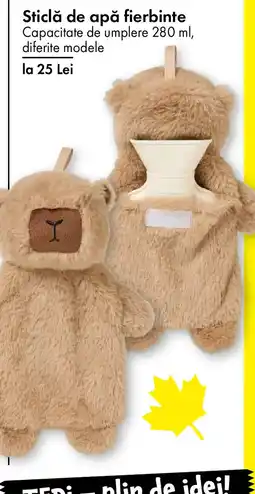 TEDI Sticlă de apă fierbinte Ofertă