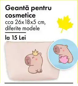TEDI Geantă pentru cosmetice Ofertă