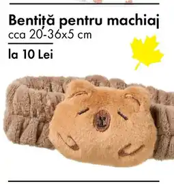 TEDI Bentiţă pentru machiaj Ofertă