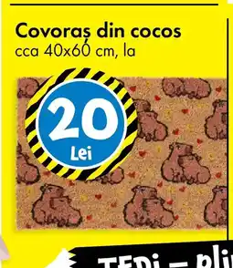 TEDI Covoras din cocos Ofertă