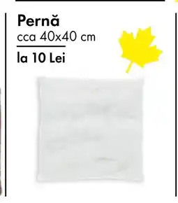 TEDI Pernǎ Ofertă