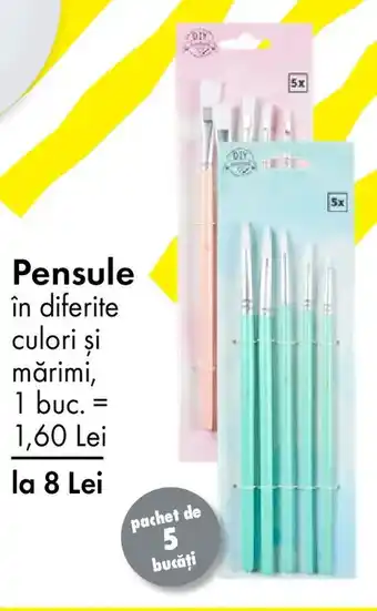 TEDI Pensule Ofertă