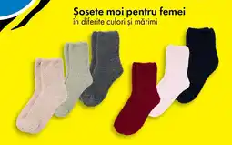 TEDI Şosete moi pentru femei Ofertă
