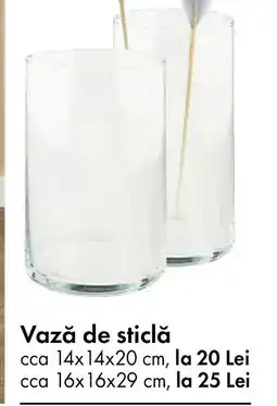 TEDI Vază de sticlă Ofertă