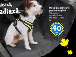 TEDI Husă de protecție pentru maşină Ofertă