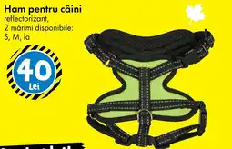 TEDI Ham pentru câini Ofertă