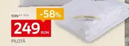 XXXLutz Pilotă Ofertă