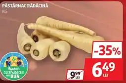 Auchan Păstârnac rădăcină Ofertă