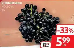 Auchan Struguri negri Ofertă