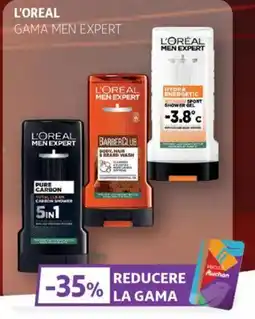 Auchan L'OREAL Gama men expert Ofertă