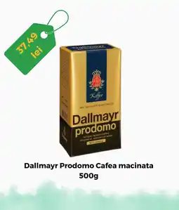 Remarkt Dallmayr Prodomo Cafea macinata Ofertă