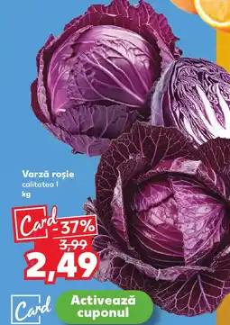 Kaufland Varză roşie calitatea Ofertă