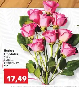 Kaufland Buchet trandafiri Ofertă