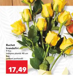 Kaufland Buchet trandafiri Ofertă