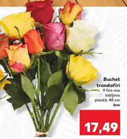 Kaufland Buchet trandafiri Ofertă