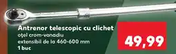 Kaufland Antrenor telescopic cu clichet Ofertă