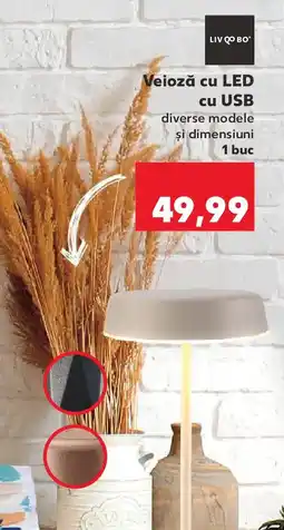Kaufland Veioză cu LED cu USB Ofertă