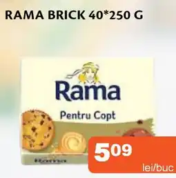Unicarm Rama brick Ofertă
