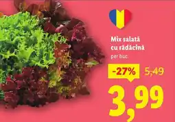 Lidl Mix salatǎ cu rădăcină Ofertă