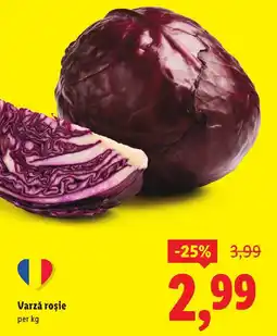 Lidl Varză roşie Ofertă